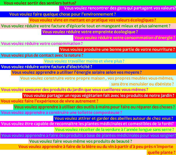 Do You Master FRENCH WEB