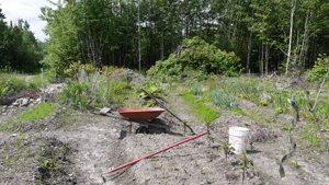 Garden Wheelbarrow WEB