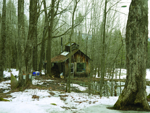 Cabane a Sucre copy