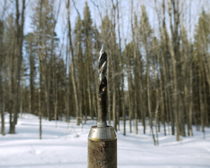 Maple Syrup Drill Bit