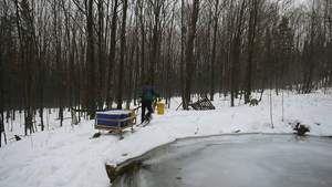 Sylvain Pulling Sled