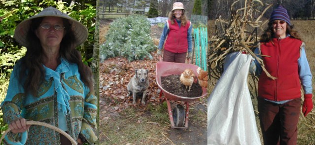 Bonnie  Bio Photos copy