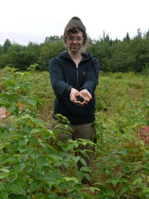 Sarah apprend à identifier, récolter, préserver et préparer des aliments sauvages