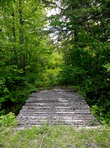 Log Bridge WEB
