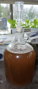 Jug With Airlock