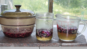 3 methods for making Dianthus Syrup WEB