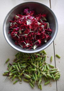 Dianthus Petals in Bowl & Stack of Calyxes WEB